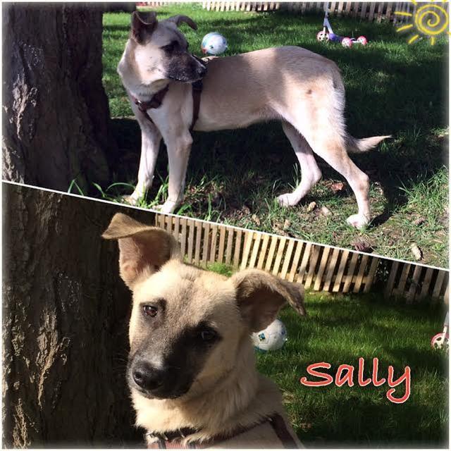 SALLY - in Hürtgenwald - reserviert