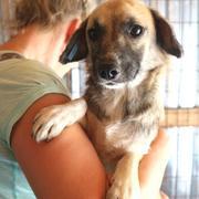 JOLINE - reserviert Dog Rescue / Tierhilfe Lebenswert e.V. (MP)