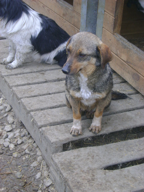 Fienchen -reserviert-