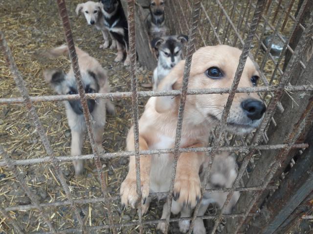 MERLOT - reserviert Casa Aninamale / NaTiNo