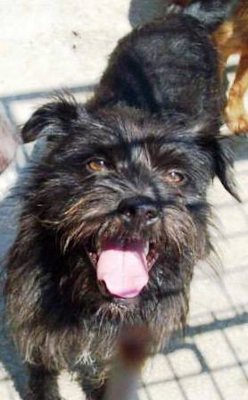 ROMEO - hat Interessenten -