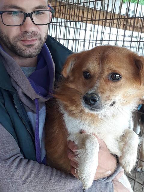 JOMBOW - in Rumänien adoptiert