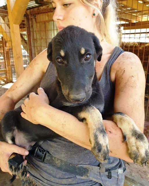 TORINO - vor Ort adoptiert 29.08.2019
