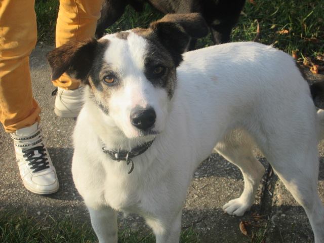 DIANA - reserviert A.