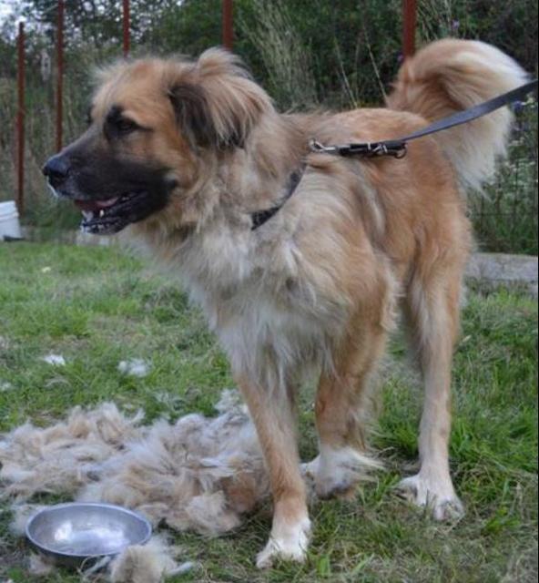 MR. BIG - reserviert (Esther)!