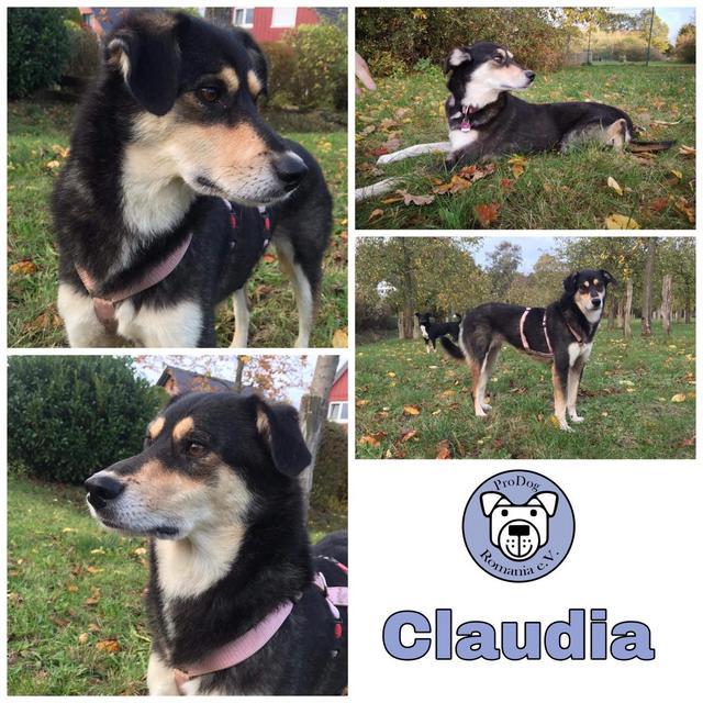 Claudia in 25451 Quickborn *reserviert*