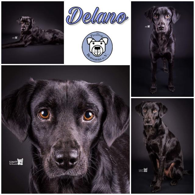 DELANO in 96328 Küps