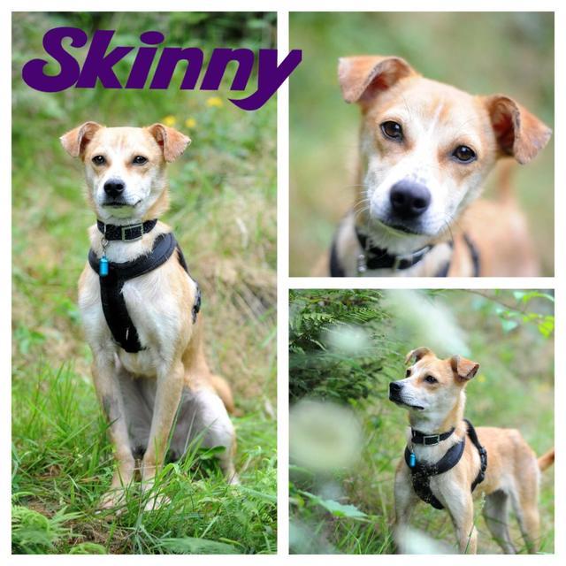 SKINNY in Leichlingen