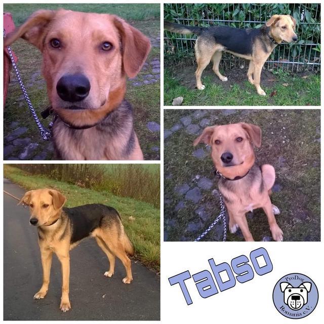 Tabso in 48720 Rosendahl reserviert