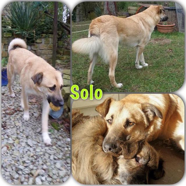 SOLO in Hanstedt/Weihe