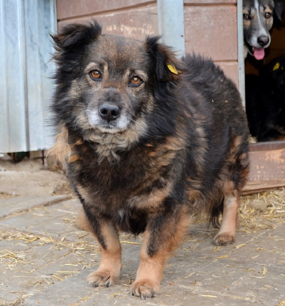 HERRIOT (HENRY) - RBB 14.08.2019