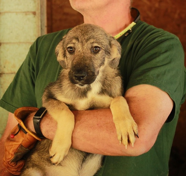 YAKA - reserviert Shelter Filderstadt