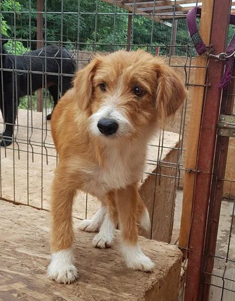 ZAKI ist reserviert (NiWi / NZ)