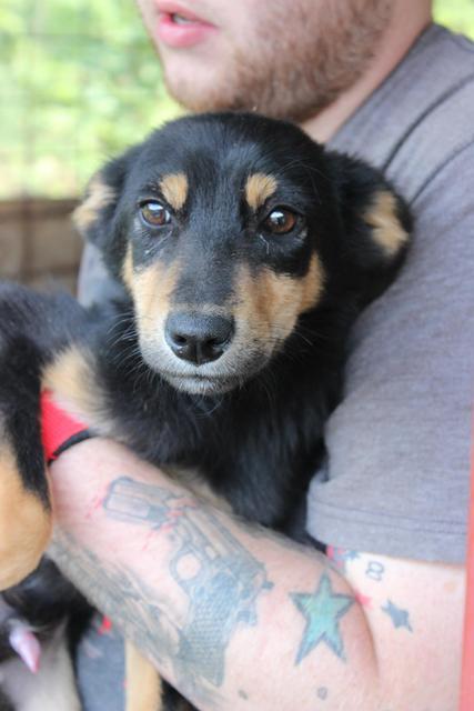 MOSES - reserviert Tiere brauchen Freunde