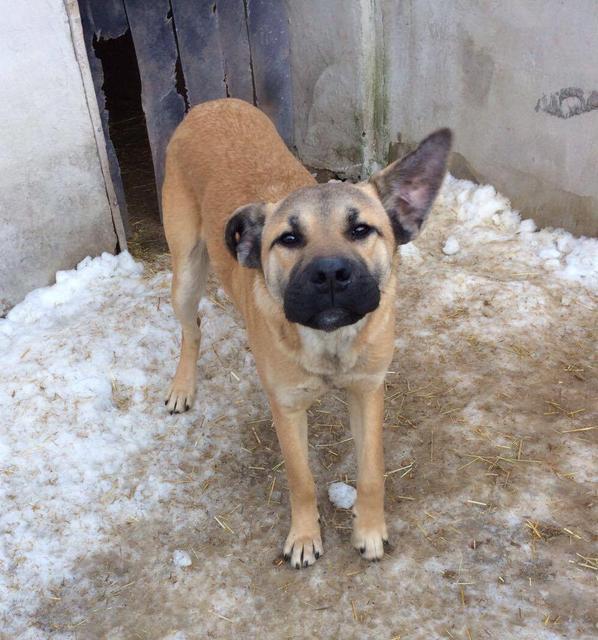 BANDI ist reserviert (Nadine)