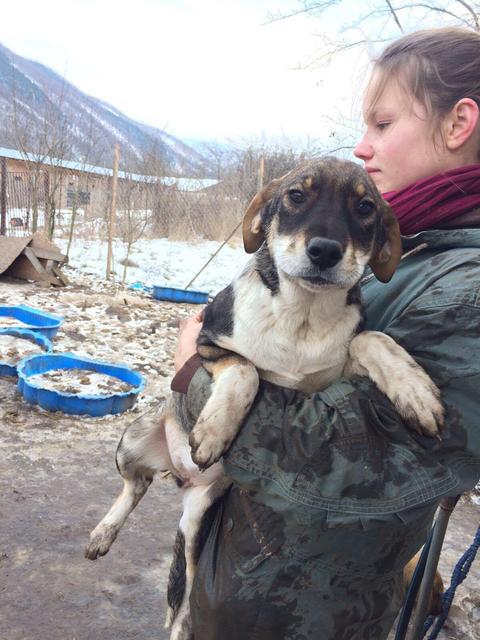 PUMBA - reserviert Tierheim Tuttlingen