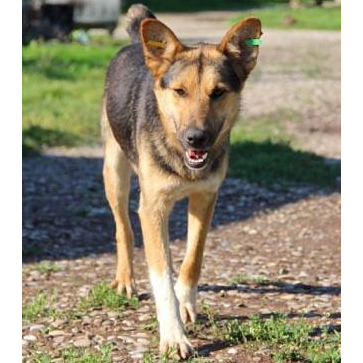 LUCKY - reserviert NaTiNo (G)