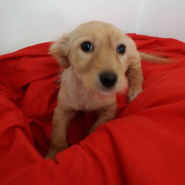 SOPHIE (Cosima) - reserviert Gerti (G)
