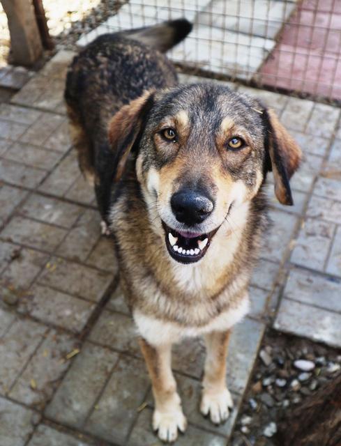 LOBA - reserviert Tiere brauchen Freunde