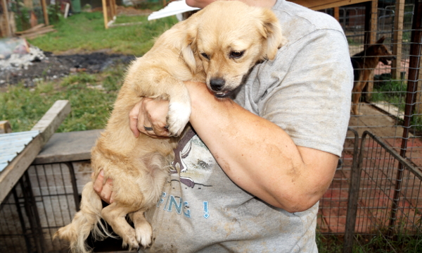 RESI (NARA) - reserviert 4Animals
