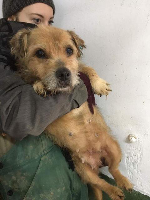NADINE - reserviert Casa Animale