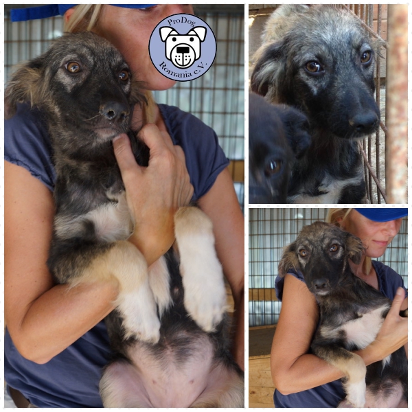 WENDALY - reserviert NaTiNo (G)