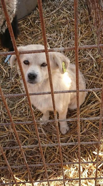 MANNU ist reserviert (NadineZ)