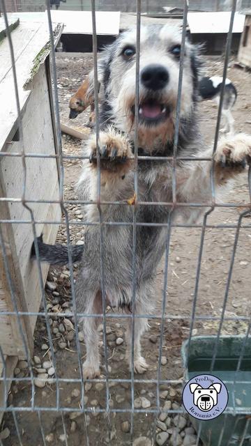 BANTU - reserviert Tiere brauchen Freunde
