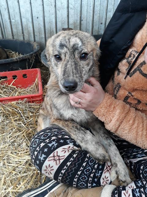 ALDA ist reserviert (NadineZ)