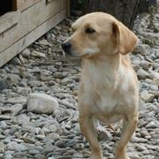 AGNES - reserviert.