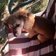 Anouk -reserviert-