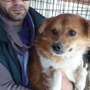 JOMBOW - in Rumänien adoptiert