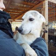 MANFRED* - reserviert A.