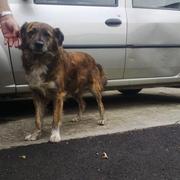 ***TRICO - reserviert***