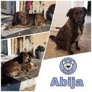 Abija in 52146 Würselen  reserviert