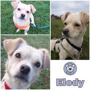 Elody in Oerlenbach-Eltingshausen ***reserviert***