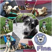 FINA in 61267 Neu-Anspach *reserviert*