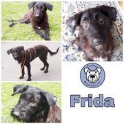 FRIDA in 65388 Schlangenbad