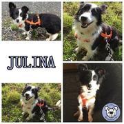 JULINA in 57299 Siegen