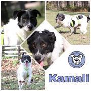 Kamali in 52393 Hürtgenwald