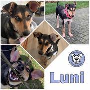 Luni in 26810 Westoverledingen reserviert