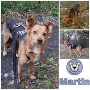 Martin in 56130 Bad Ems reserviert