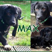 MAX in Kaarst