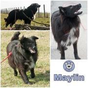 Maylin in  Dresden  -- reserviert