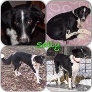 SALLY im Sauerland