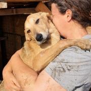 PAULINE - reserviert Tierhilfe Lebenswert e.V. (MP)