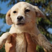 MUCKI - reserviert Tierhilfe Lebenswert e.V. (MP)