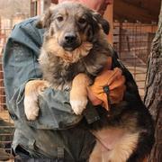 PATJA - reserviert Tierheim Filderstadt