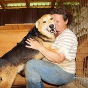 SCHIMANSKI (BARNEY) - reserviert Tierhilfe Lebenswert e.V. (MP)