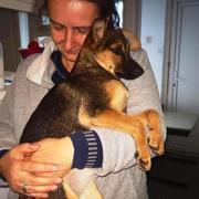 BRYTT (Reserviert -PS Dany)